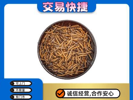 阿拉善礼品回收虫草.jpg